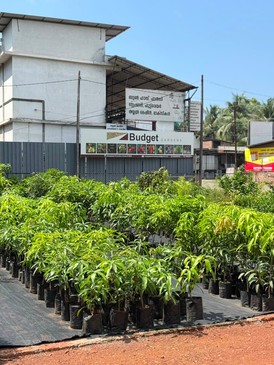 Budget Gardens